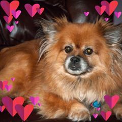 Profile Picture of David Proctor (@@davidproctor97) on Tiktok