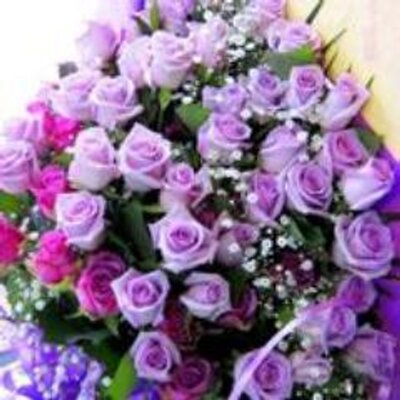 Profile Picture of Joann Barrett (@joannbarrett8) on Twitter