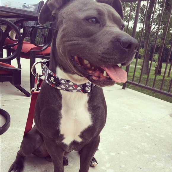 Profile Picture of Jessica Frank (@mjmommy124) on Poshmark