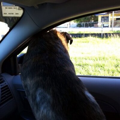 Profile Picture of Michael A Petrosky (@MPetrosky75) on Twitter