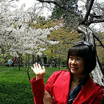 Profile Picture of Iris Chang (@iris 1976) on Flickr