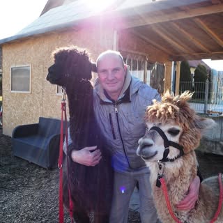 Profile Picture of Anton Hollinger (@antonhollinger) on Instagram