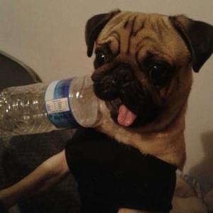 Profile Picture of P Salt (@patrick_salt) on Twitter