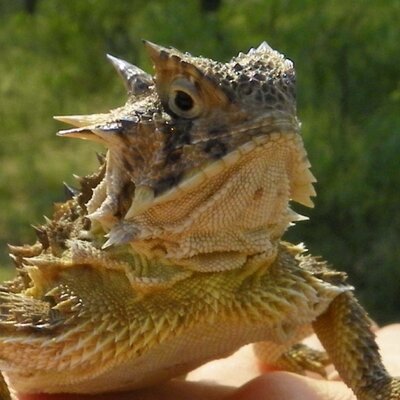 Profile Picture of Chris Hope (@cdhope3) on Twitter