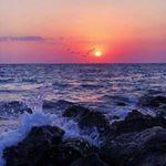 Profile Picture of Brian Milton (@just_afunnyguy_) on Instagram