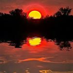 TREVOR BAILEY - Instagram Profile Picture of TREVOR BAILEY (@trevoroots54) on Instagram