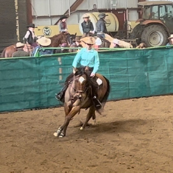 Profile Picture of Alex Novello (@alexnovello) on Poshmark