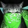 Profile Picture of chris.ackermann (@@chris.ackermann) on Tiktok