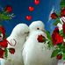 Profile Picture of Cindy Foshee (@cindy.foshee.39) on Facebook