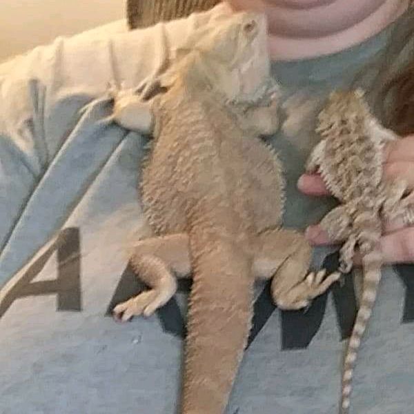 Profile Picture of ED EMIGH (@edemigh) on Tiktok