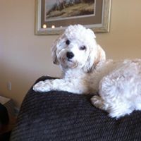 Profile Picture of Mary-ray Dowling (@mary-ray-dowling) on Quora