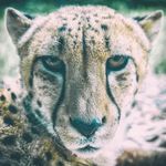 Profile Picture of dave simpson (@dave_simpson_photography) on Instagram