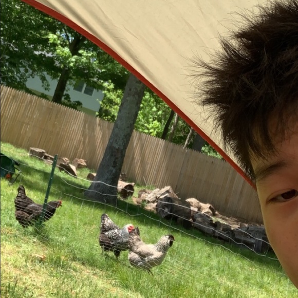 Profile Picture of Bob Bob (@bobart6969) on Poshmark