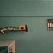 Profile Picture of Jianping (@elephanty) on Pinterest