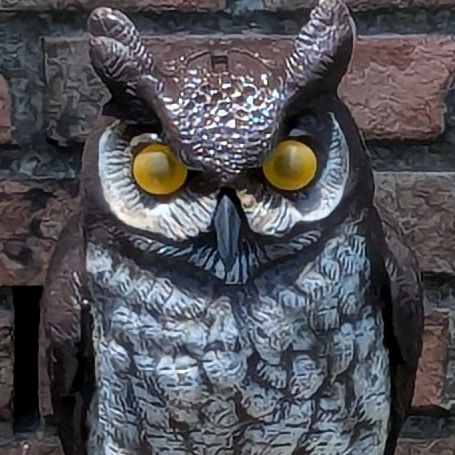 Profile Picture of John Rorabaugh (@johnrbaugh) on Tiktok