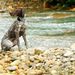 Profile Picture of Jeremy Percy (@jeremyp3324) on Pinterest