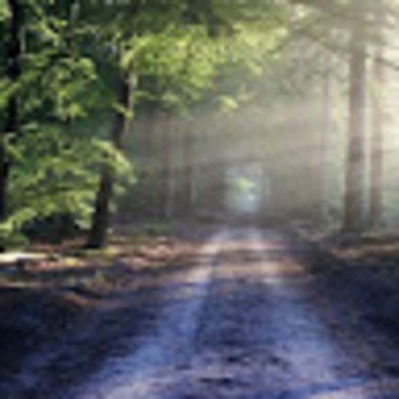 Profile Picture of Rebecca Timoney (@beckyyyyt) on Poshmark