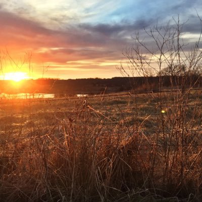 Blake Cullen - Twitter Profile Picture of Blake Cullen (@BlakeCullen3) on Twitter