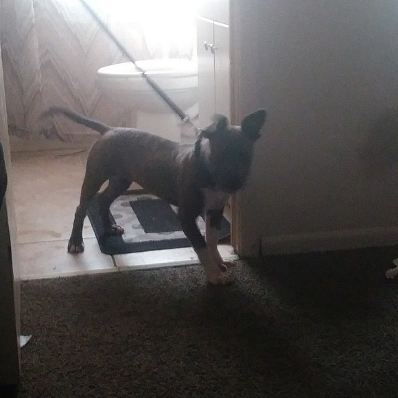 Profile Picture of Shuna Nickolson (@poohbear247) on Poshmark