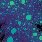 Profile Picture of Jacob Fletcher (@jacobfletcher8411) on Youtube