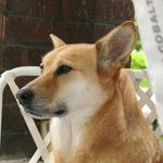 Profile Picture of jeffrey.jarrett (@jeffrey.jarrett) on Instagram