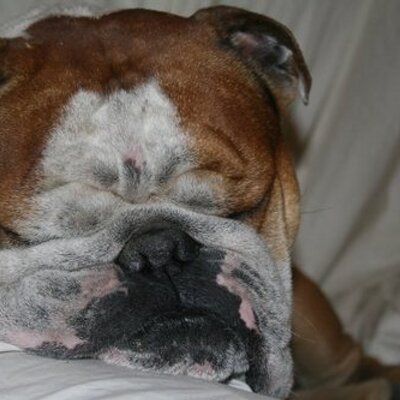 Profile Picture of Kenneth Hall Epple (@wilmingtonbooks) on Twitter