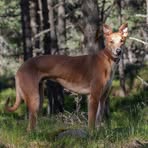 Profile Picture of Geoffrey Rowntree (@Geoffrey-Rowntree) on Facebook