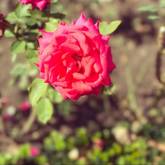 Profile Picture of Jourdan Treadwell (@jourdanlt64) on Poshmark