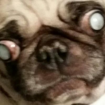 Profile Picture of Jeff Borne (@BorneJeff) on Twitter