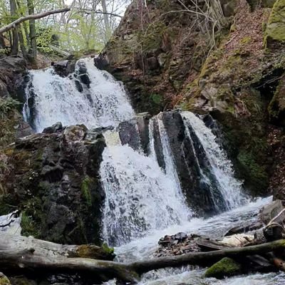 Profile Picture of Lucas Andersson J (@LucasA_Jensen) on Twitter