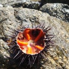 Profile Picture of Sottile David (@Sottiledavidfr) on Twitter