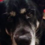 Profile Picture of Pamela Gates (@pamela.gates.4168) on Instagram