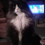 Profile Picture of Lorraine Roy (@lorraine.roy.37) on Instagram