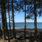 Profile Picture of James mantini (@james.mantini) on Instagram