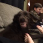 Profile Picture of Claycurry12 (@claycurry12) on Instagram