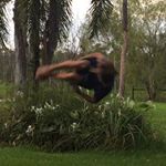 Profile Picture of Max Rudd (@max_does_flips) on Instagram