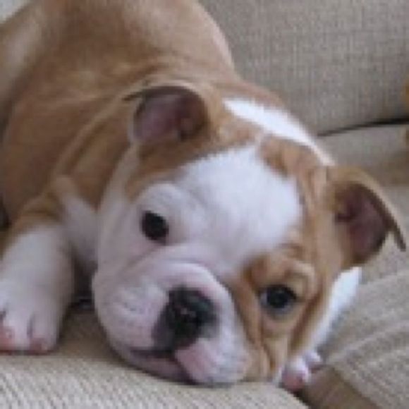 Profile Picture of Abc Wunark (@abc143) on Poshmark