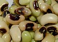 Profile Picture of Black-eyed peaon Wikipedia