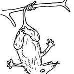 Profile Picture of Sonja Small (@sonja.small.98) on Facebook