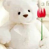 Profile Picture of Mohammed Asaad (@mohammed-asaad-2) on Quora