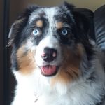 Profile Picture of Marie-josee Chauvette (@mariejoseechauvette) on Instagram