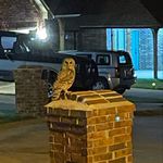 Profile Picture of Travis Teeter (@travis.teeter) on Instagram