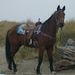 Profile Picture of Debbie Evanoff (@debbiee1869) on Pinterest