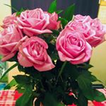 Profile Picture of Nancy (@nancykowalewski370) on Instagram