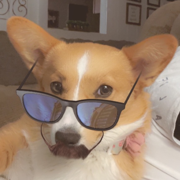 Profile Picture of Ava Bilyou (@ava_bil902) on Poshmark