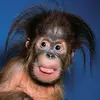 Profile Picture of Paul Jamison (@@_pauljamison) on Tiktok