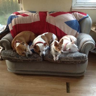 Profile Picture of Claudine Lawley-Bell (@fluffykin1) on Twitter