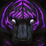 касенов денис☢️⬆️ - Instagram Profile Picture of касенов денис☢️⬆️ (@denis.kasenov) on Instagram