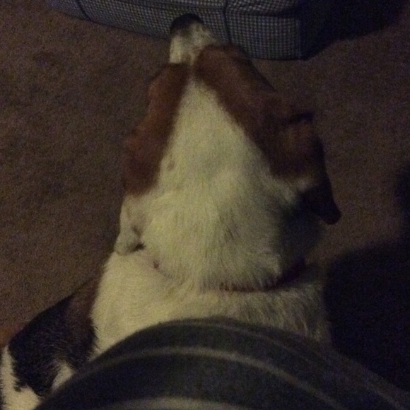 Profile Picture of Ruth Cox (@ruthlcox) on Poshmark