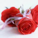 Profile Picture of Âsmâ Fadel (@asmafad) on Instagram